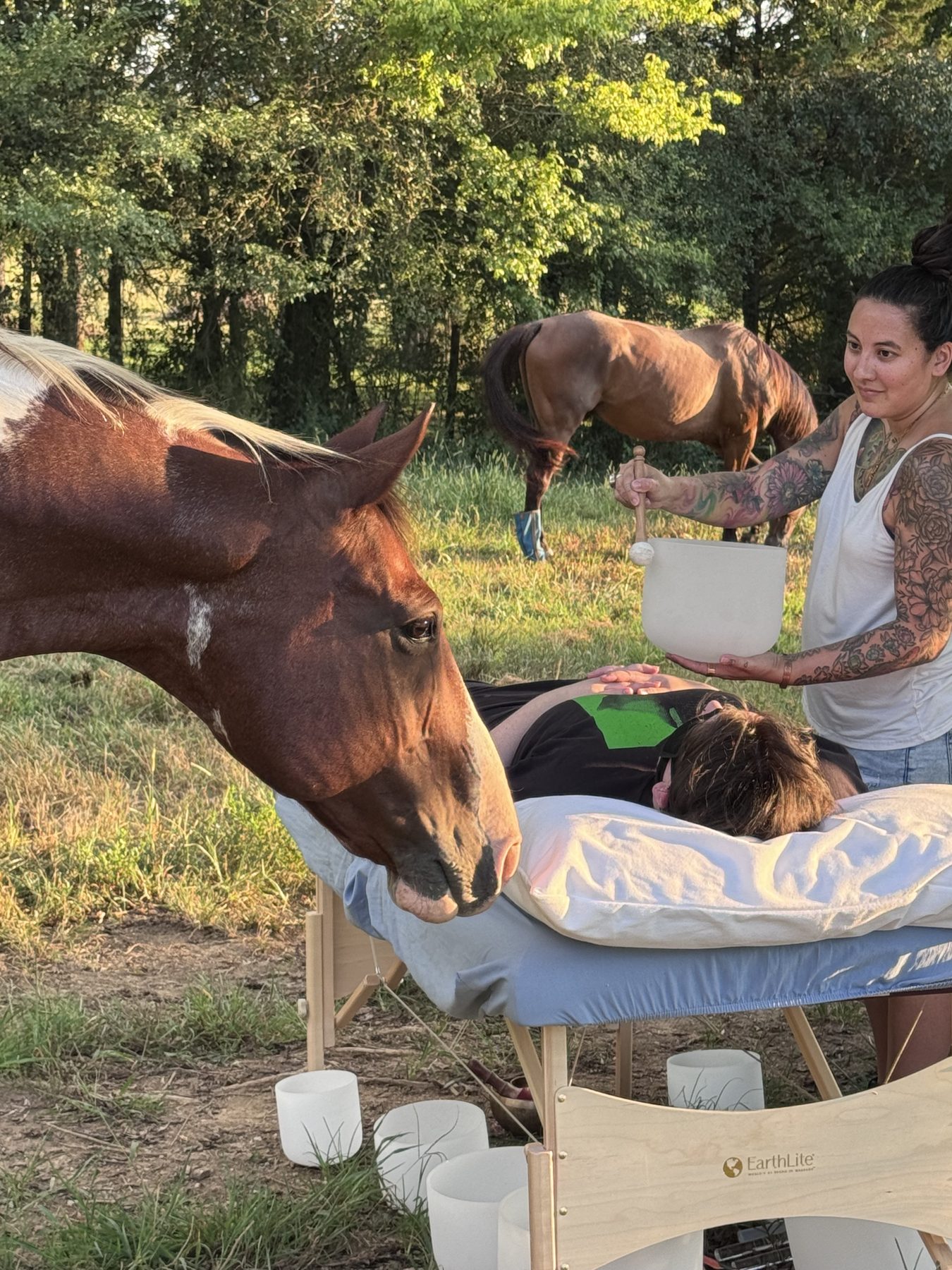 A horse leaning over a massage table to nuzzle a client during a private Reiki session