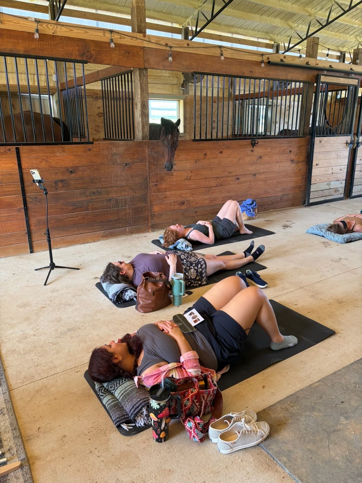 Guests resting on mats in the barn during a sound bath, with a horse looking on from its stall